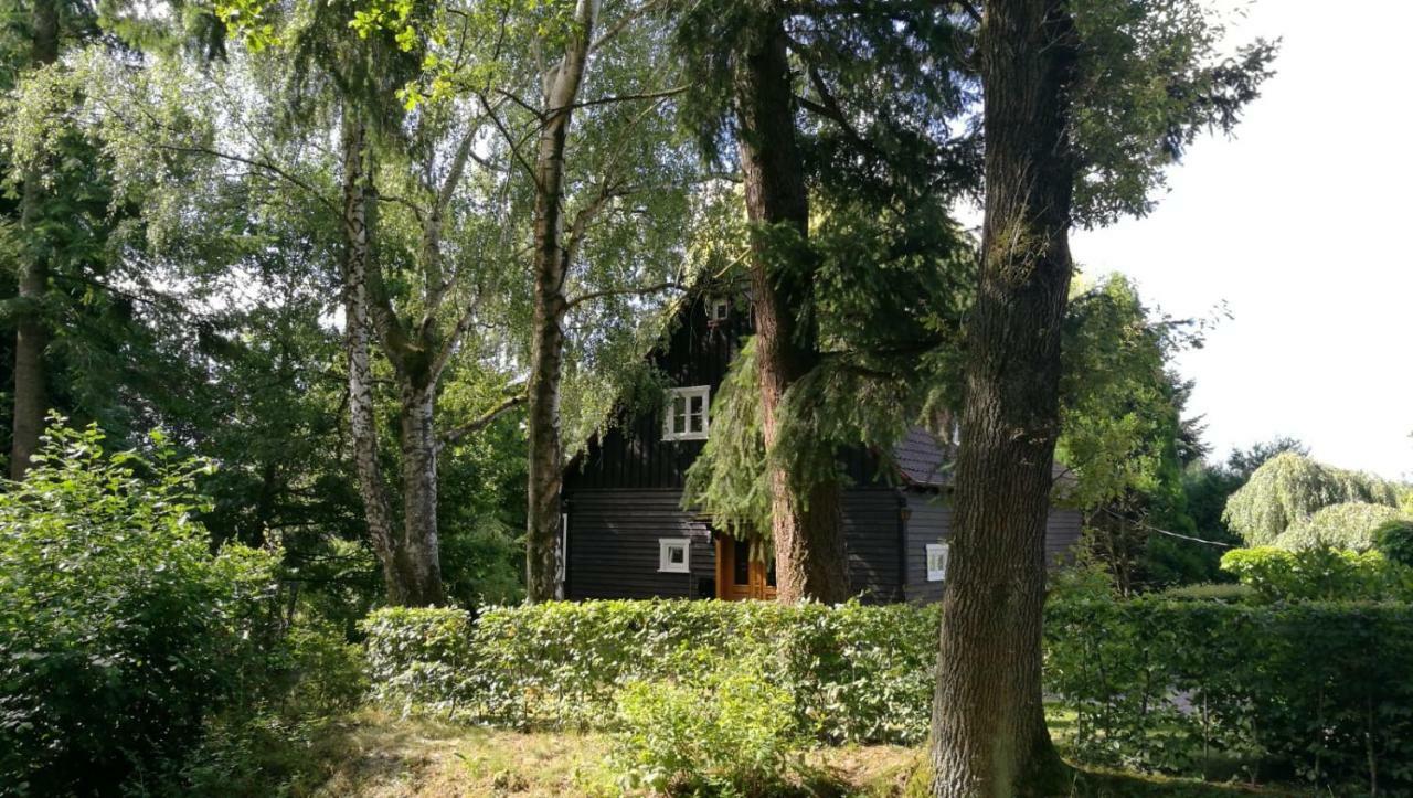 乌斯拉尔"Haus Am Knobben"别墅 外观 照片